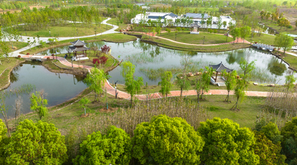湖北襄陽 魚梁洲中央生態公園開園，市民盡享“城市綠肺”新生活