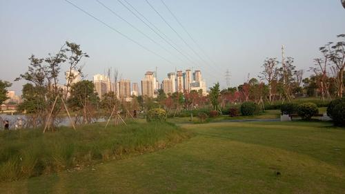醉美漳州西湖生態園